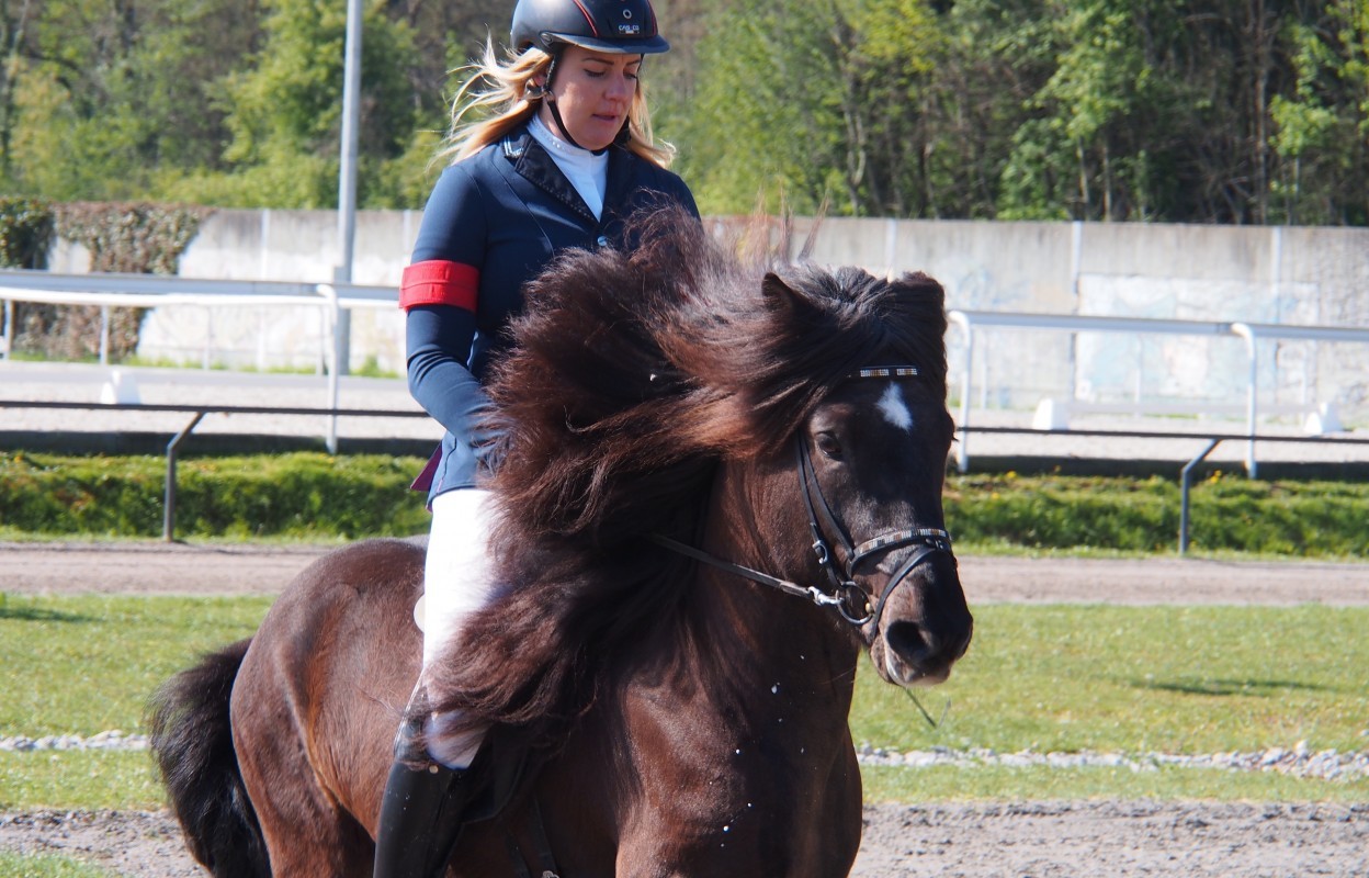  Turniere - Islandpferdezentrum Sólfaxi AG 