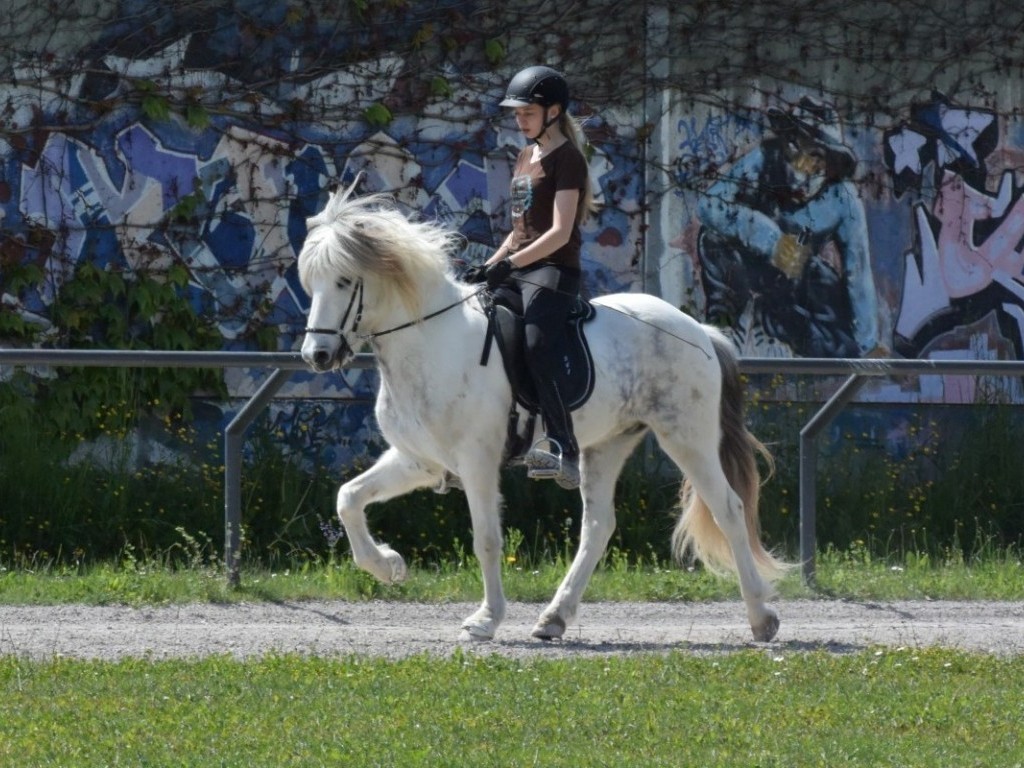 Gladur von der Rutenmühle